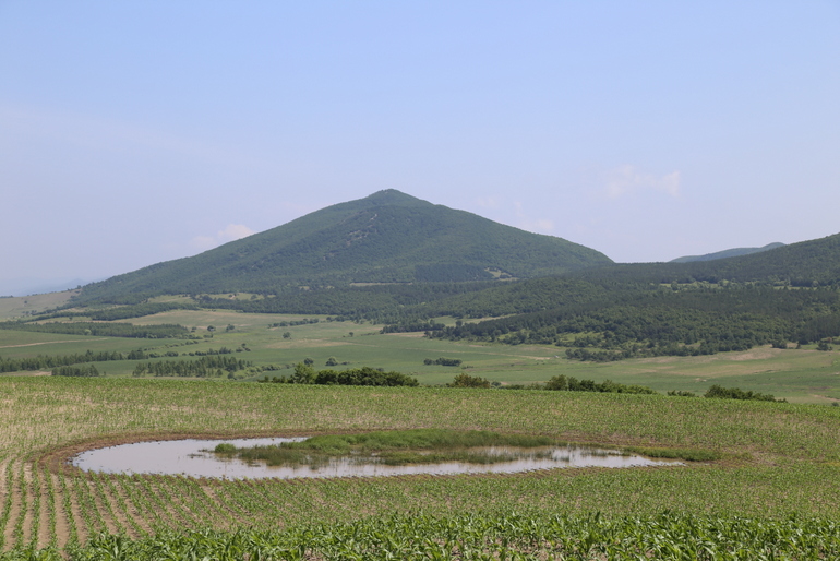 点击查看原图大小
