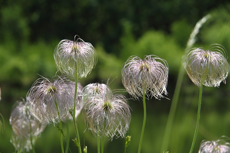 点击查看原图大小