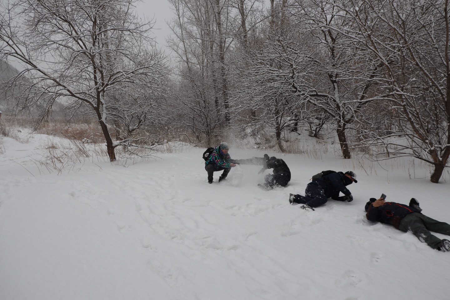 点击查看原图大小