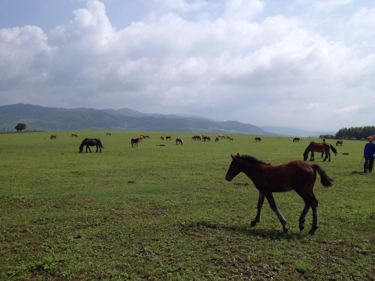 点击查看原图大小
