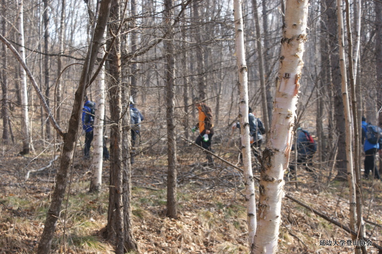 点击查看原图大小