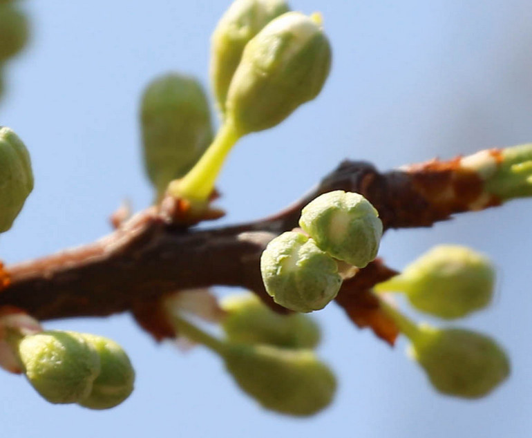 点击查看原图大小