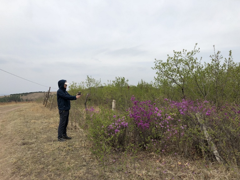 点击查看原图大小