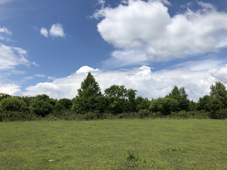 点击查看原图大小