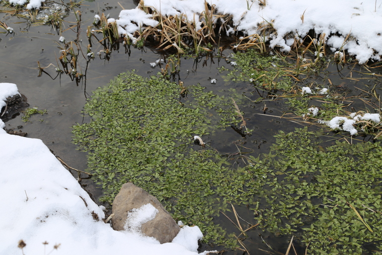 点击查看原图大小