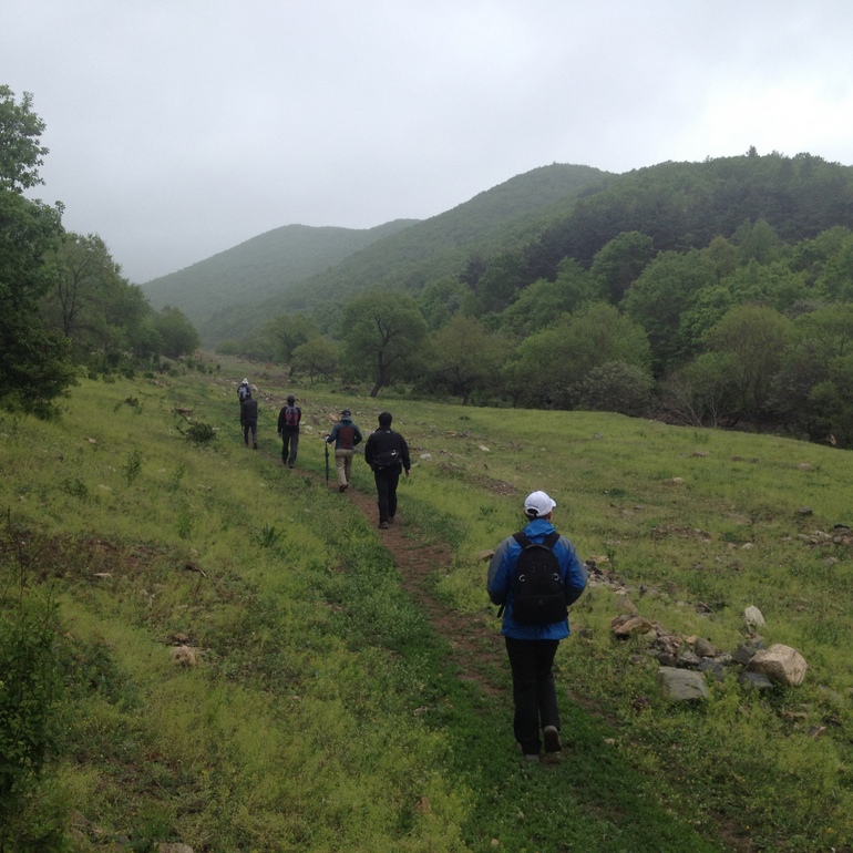 点击查看原图大小