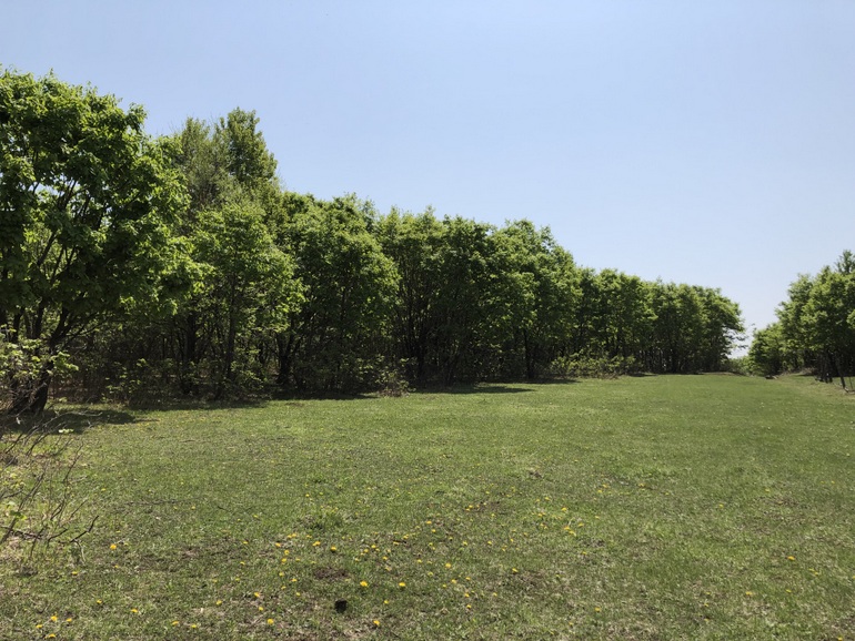 点击查看原图大小