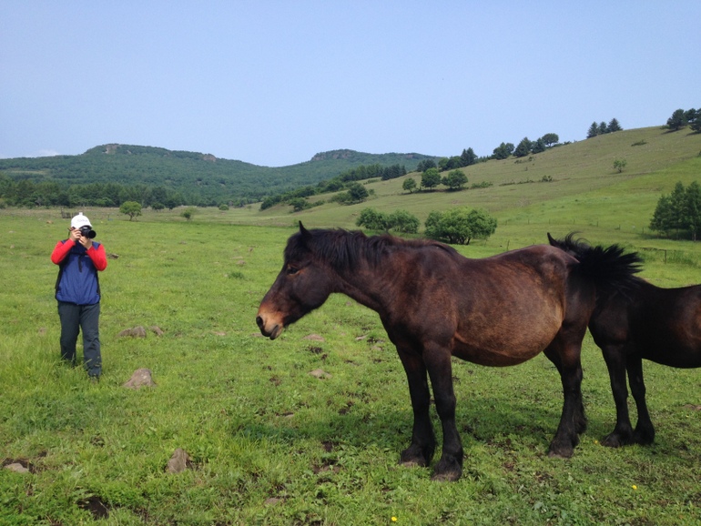 点击查看原图大小