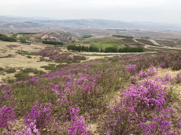 点击查看原图大小
