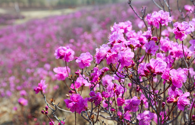 点击查看原图大小