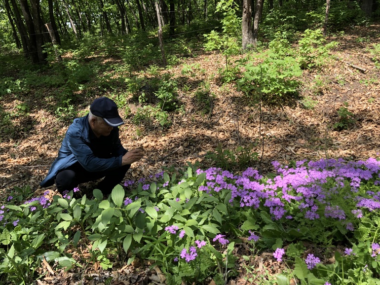 点击查看原图大小