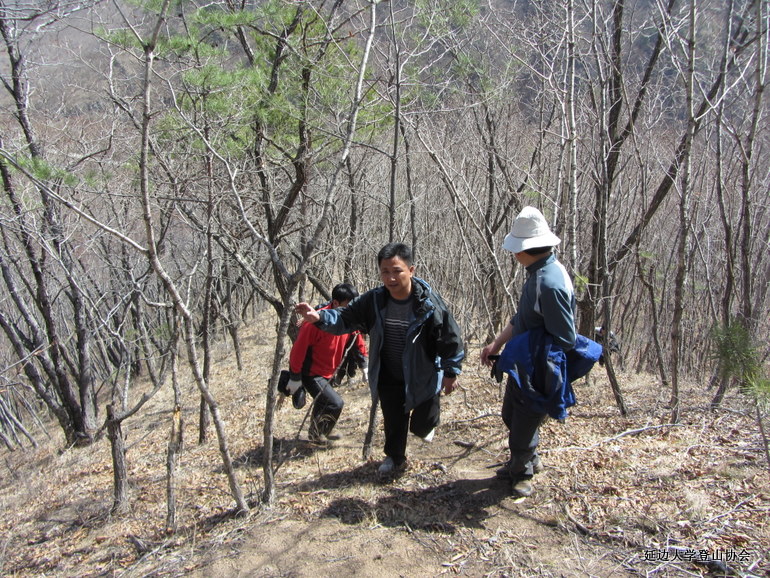 点击查看原图大小