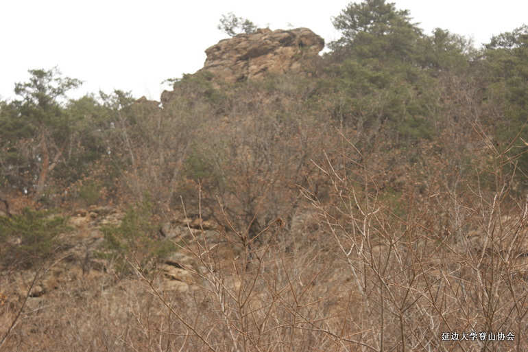 点击查看原图大小