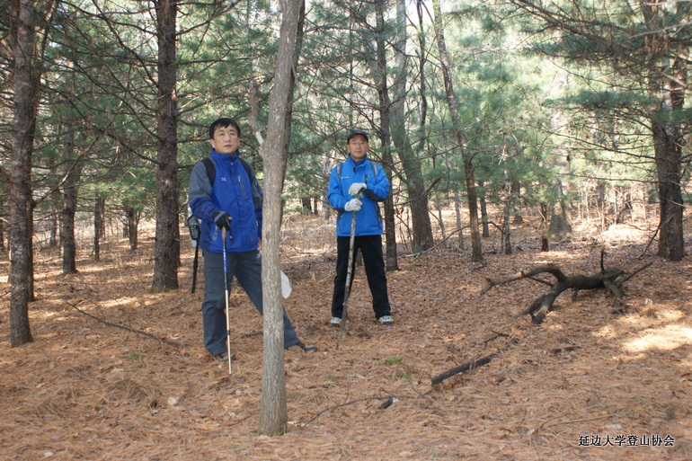 点击查看原图大小