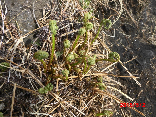 点击查看原图大小