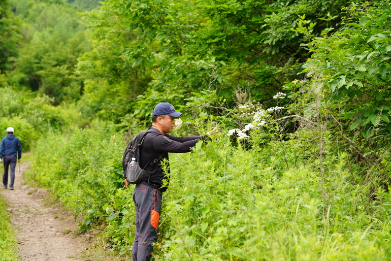 点击查看原图大小