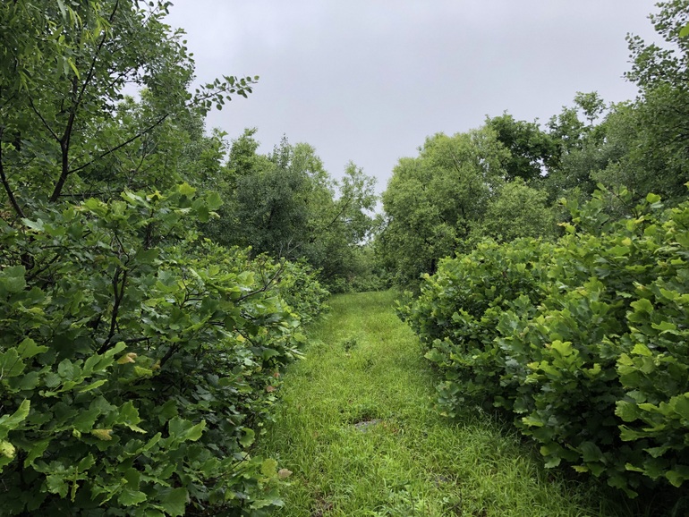 点击查看原图大小