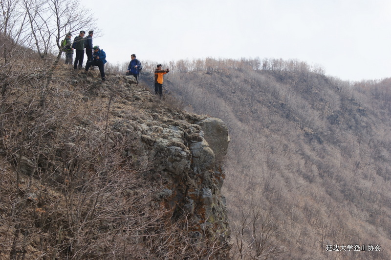 点击查看原图大小