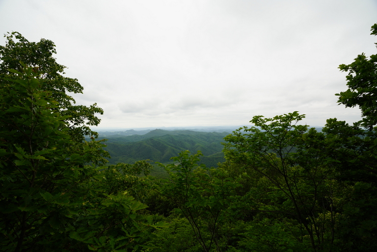 点击查看原图大小