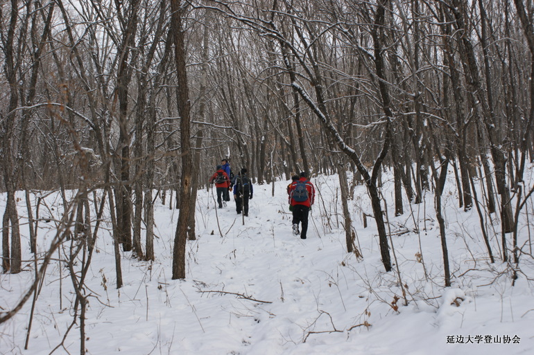 点击查看原图大小