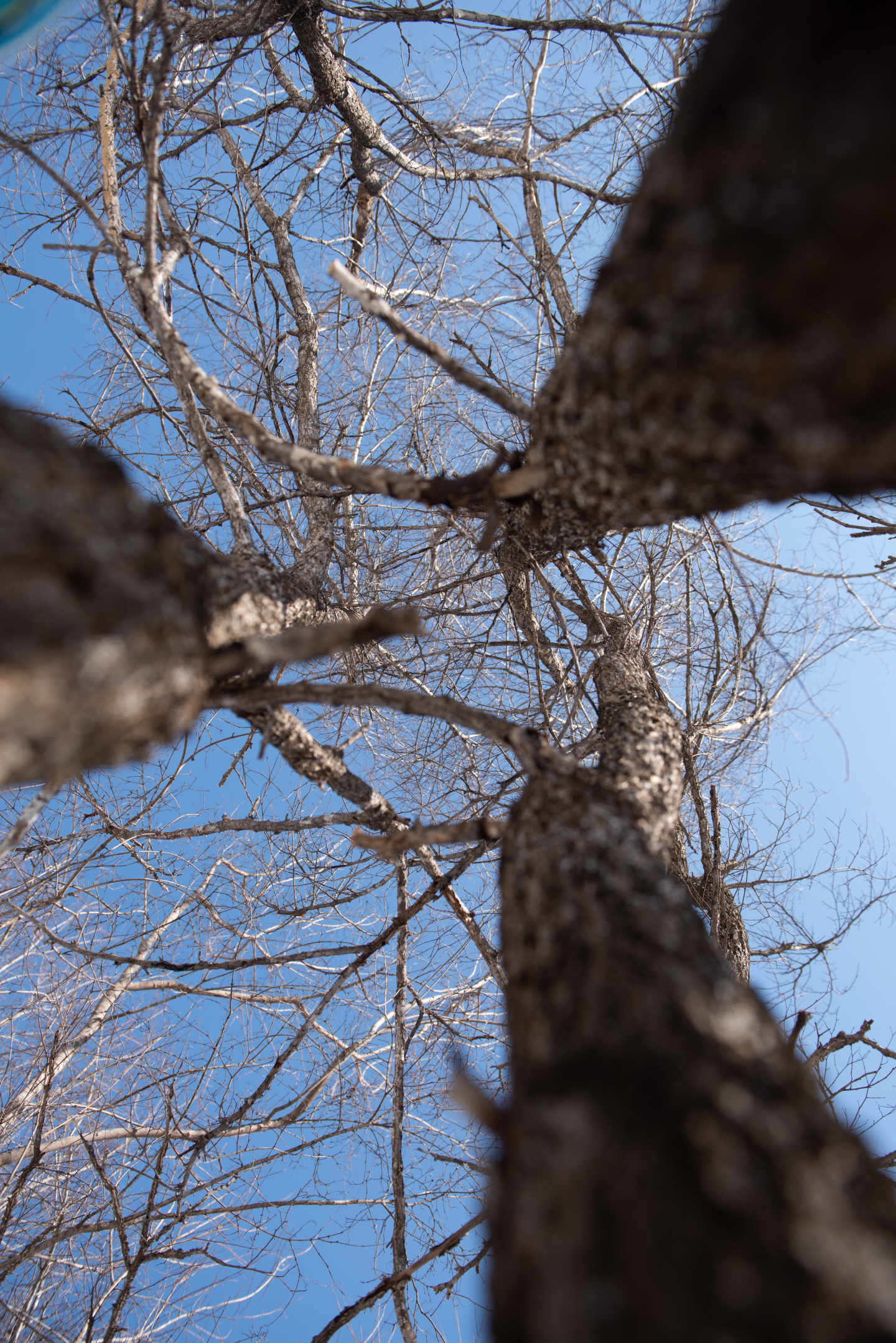 点击查看原图大小