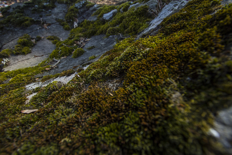 点击查看原图大小