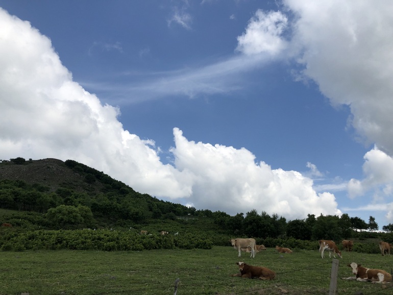 点击查看原图大小