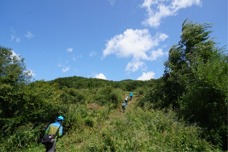 点击查看原图大小