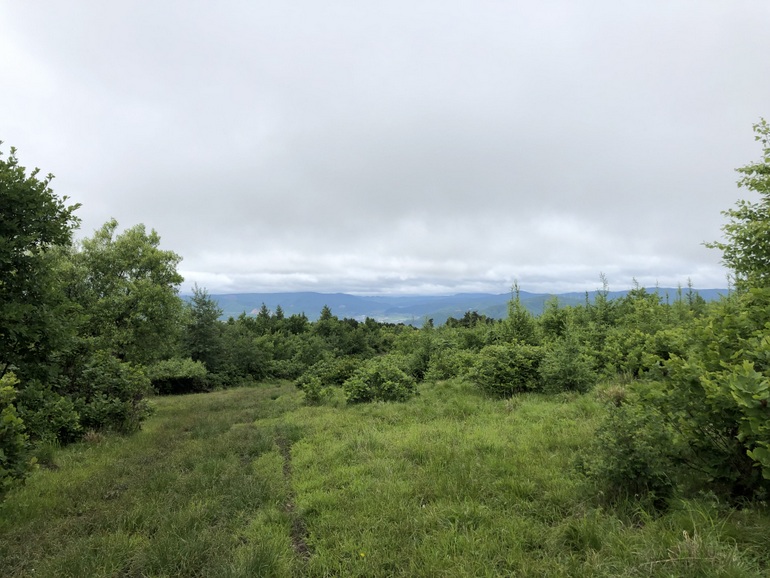 点击查看原图大小