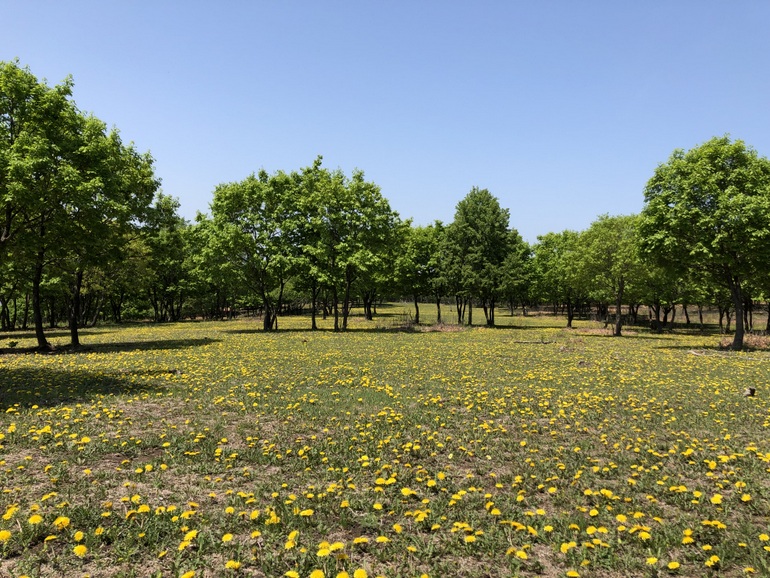 点击查看原图大小