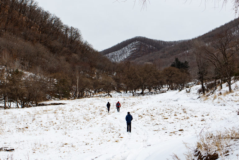 点击查看原图大小