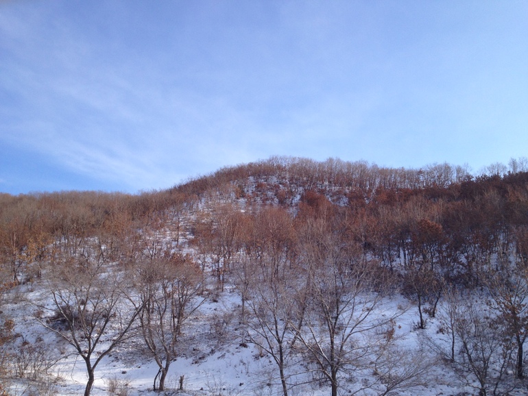 点击查看原图大小