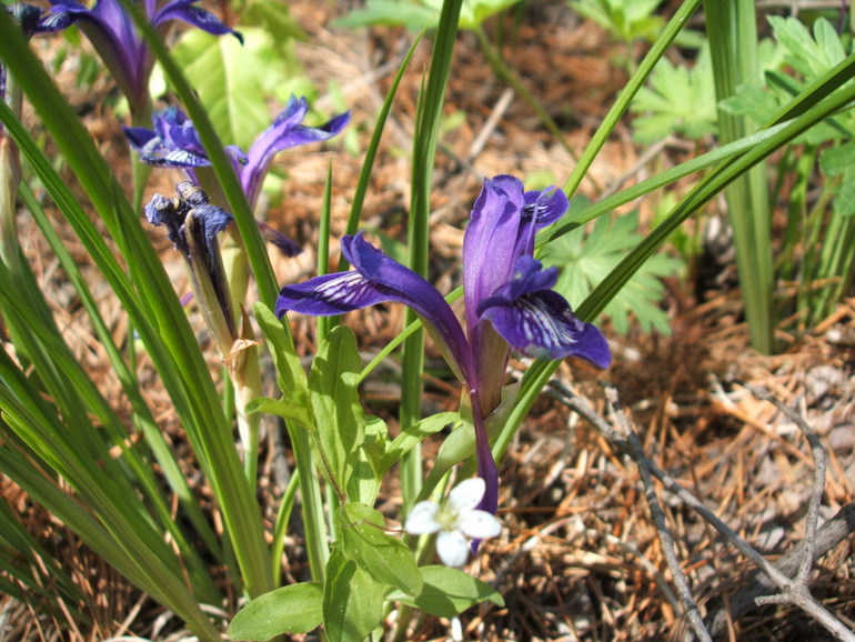 点击查看原图大小