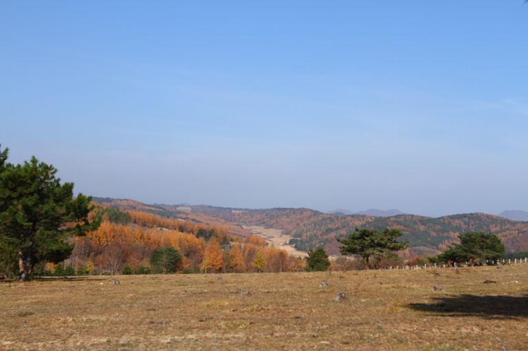 点击查看原图大小