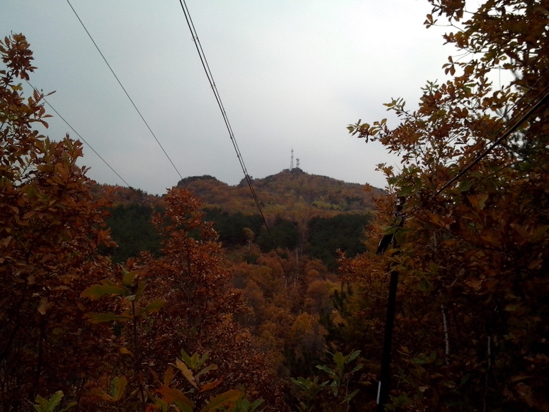 点击查看原图大小