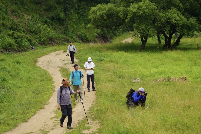 点击查看原图大小