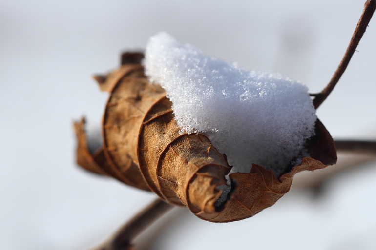 点击查看原图大小