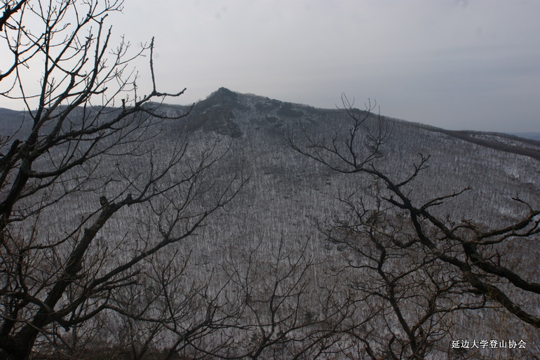 点击查看原图大小