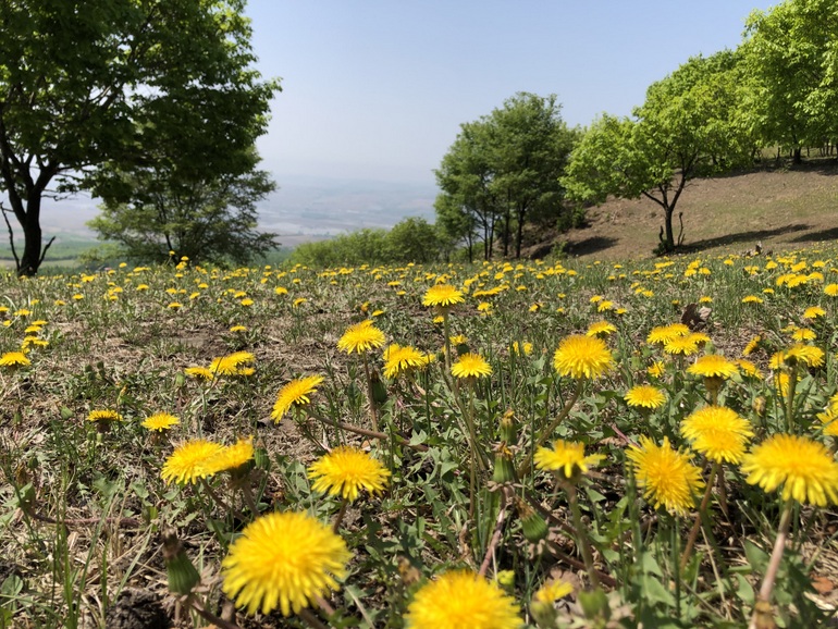 点击查看原图大小