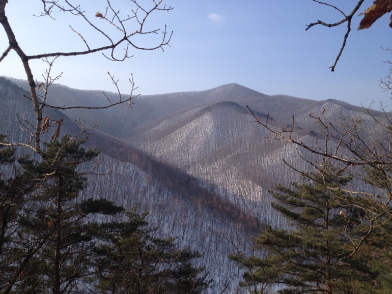 点击查看原图大小