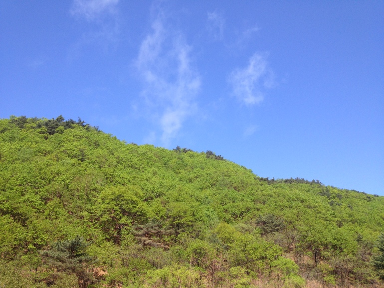 点击查看原图大小