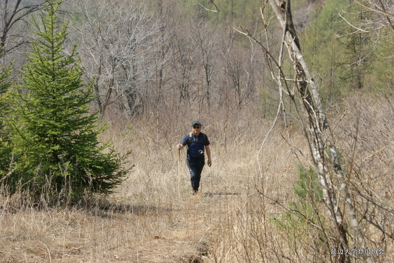 点击查看原图大小