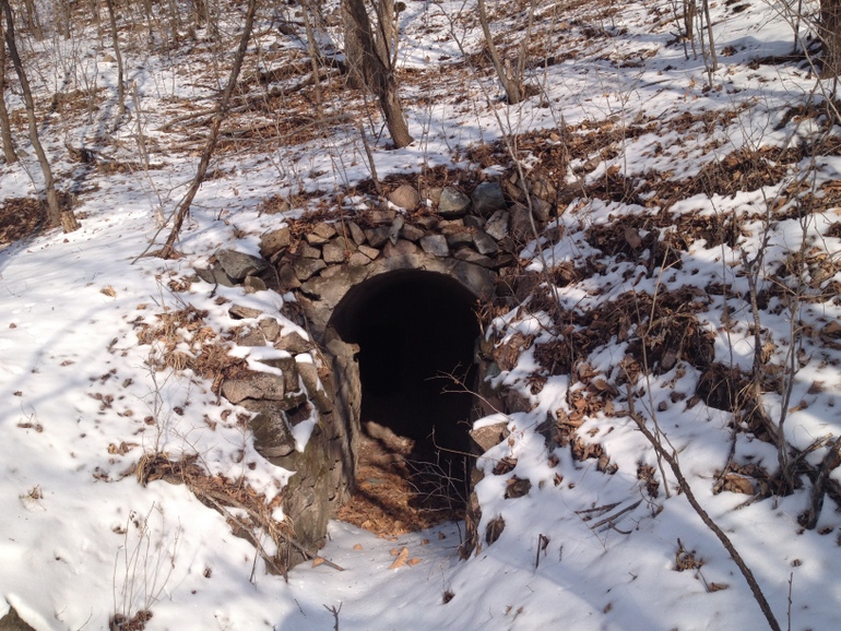 点击查看原图大小