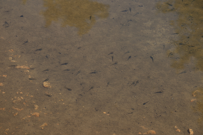 点击查看原图大小