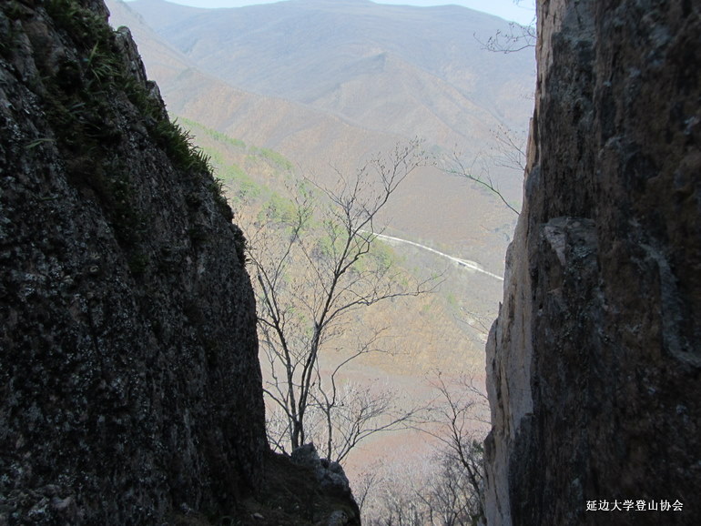 点击查看原图大小