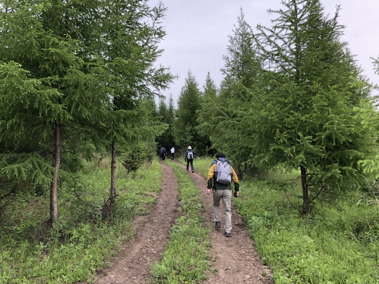 点击查看原图大小