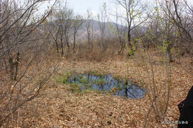 点击查看原图大小