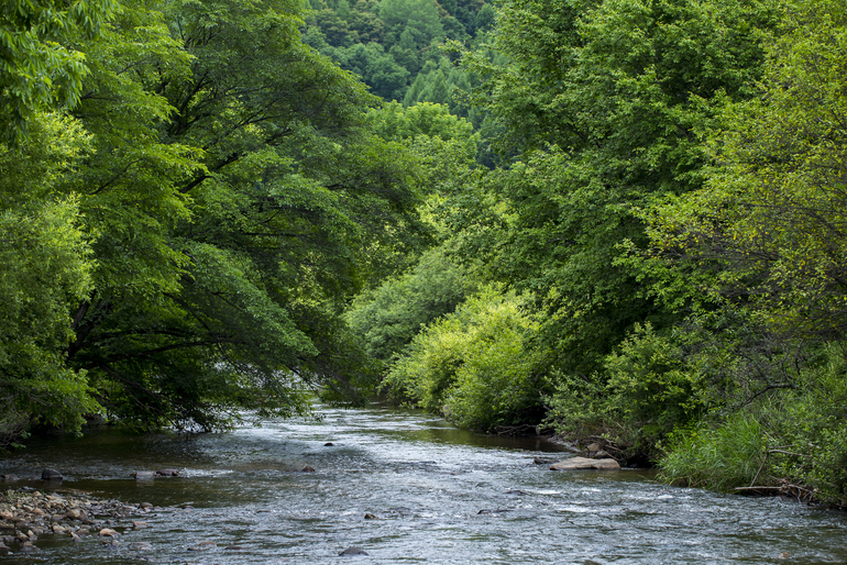 点击查看原图大小
