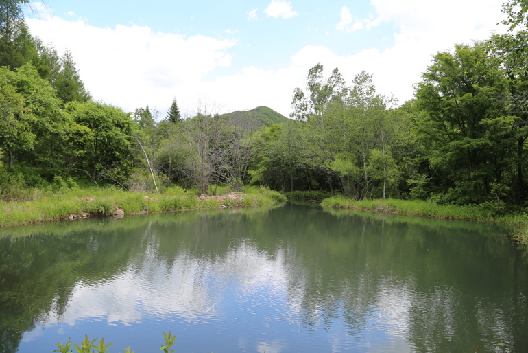 点击查看原图大小