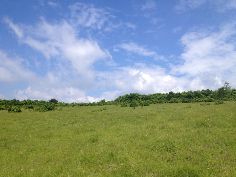 点击查看原图大小